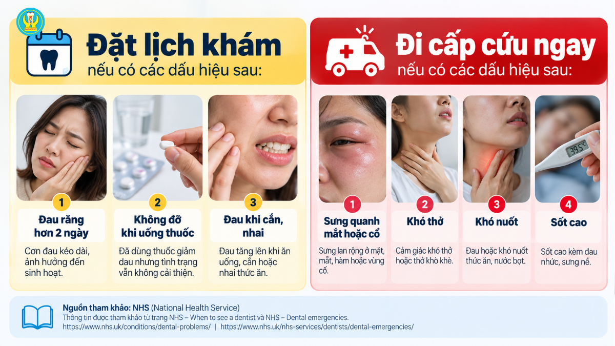 Dấu hiệu đau răng cần đi khám ngay như sưng má, sốt và khó nuốt